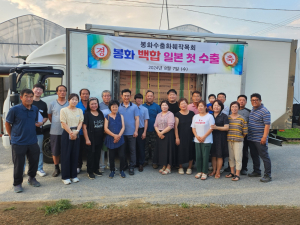 봉화군, 백합 1만 본 올해 첫 일본 수출길 올라