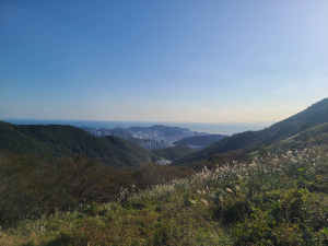 지친 도시민 활력소 ‘부산승학산치유의숲’