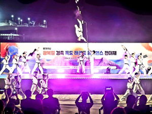 광복절 울릉도ㆍ독도 ‘태권도 퍼포먼스’