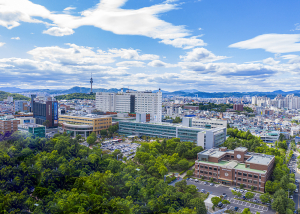 영남대의료원, 제2회 대구 메디뮤직 페스티벌-디톡스 타임 개최