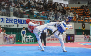 영천시, 스포츠대회ㆍ전훈 유치효과 103억
