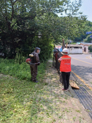 포항시 용흥동, 환경정비ㆍ마을안길 풀베기 사업
