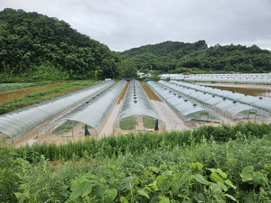 경북도, 재해위험지역정비 국비 1704억 확보
