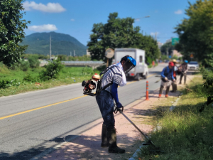 상주시 남원동 새마을회, 연도변 제초 ‘구슬땀’