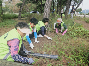 자연사랑연합 대구 군위지회, 생활문화센터 숲속정원 청소