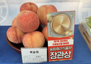 영주 복숭아 ‘우수성’ 인정 농식품부장관상 수상 쾌거