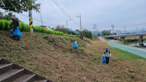 성주군 성주읍, 추석맞이 환경정화