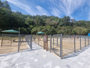 영양군, 반려동물 친화 도시 조성 ‘성큼’