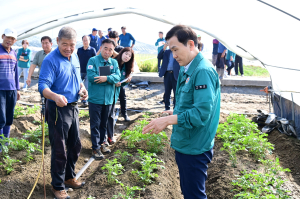 고령군, 농작물 고온피해 지역 현황 점검