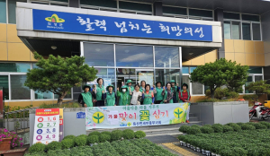 의성 옥산면 새마을부녀회, 국화꽃심기
