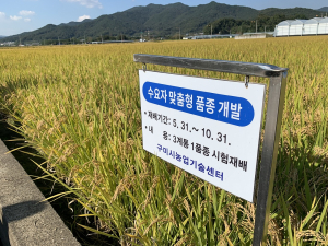 경북농업기술원, 지역 특성에 맞는 벼 신품종 개발 ‘앞장’
