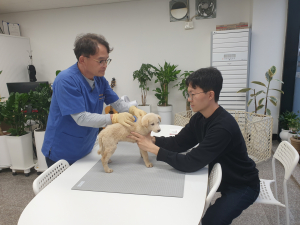 봉화군 “반려동물등록 내장형으로 하세요”