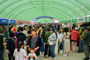 영주풍기인삼축제 9일 동안 48만명 ‘인파북적’