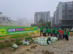 의성 안계면, 공한지 활용 유채꽃밭 조성