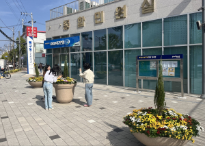 포항시 북구청사 계절화 식재 새 단장