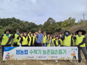 경북농협 임직원 농촌일손돕기 ‘구슬땀’