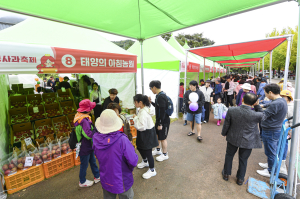 ‘문경사과축제’ 감홍사과 대박났다