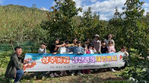 상주 곶감 만들며 추억이 차곡…수확철 생산 체험활동 ‘좋아요’