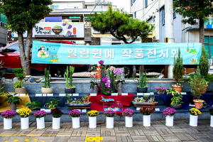 울릉군 힐링 원예 작품전시회