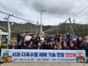 포항시농업기술센터, 사과 다축수형 재배로 노동↓ 생산성 2배↑