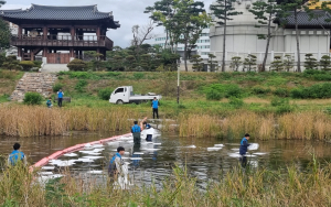 경주시, 수질오염사고 대비 합동 방제훈련