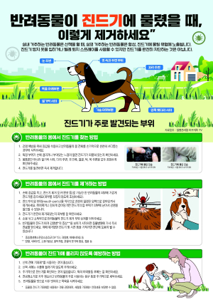 구미시 “가을철 진드기 물림 예방 수칙 지켜주세요”