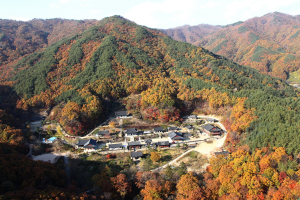 예천군, 가을 정취와 함께하는 특별한 여행