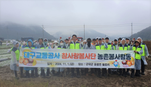 대구교통公, 양파모종 식재 ‘구슬땀’