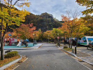 <특집> “캠핑하기 딱 좋은 봉화”…오색 단풍 물든 가을 속으로