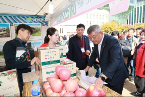 맛ㆍ품질 좋은 예천사과 ‘서울서 인기몰이’