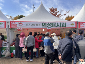경북사과 홍보장서 ‘의성眞 사과’ 눈길