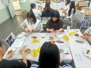 국립청소년미래환경센터, 스프링 캠프
