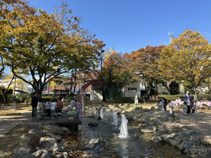 구미시청사, 산책 명소로…음악과 빛의 물결