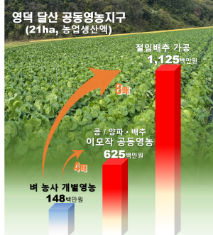 ‘생산액 4배’ 공동영농 소득배당 2호 탄생