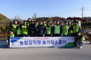 NH농협 영주시지부, 합동 농촌 일손돕기