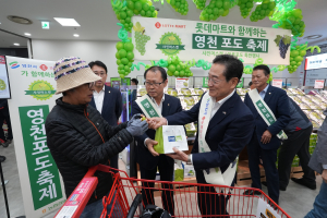 ‘영천과일’ 도시 소비자들 입맛 사로잡다