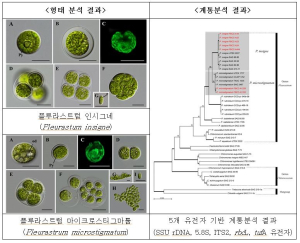 상주국립낙동강생물자원관 김유호 연구원, 한국조류학회 ‘우수논문상’