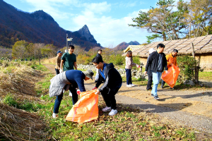 울릉군청 직원, 나리분지 자연정화 활동