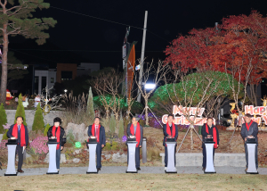 영양군 솔광장 불밝힌 ‘희망의 성탄트리’