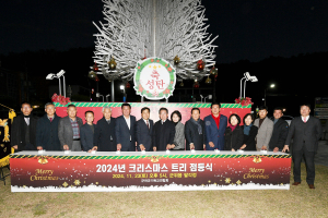 대구 군위 화합정서 성탄트리 점등