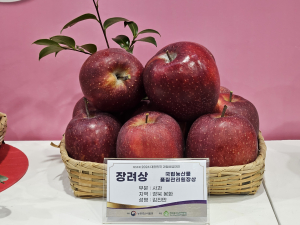 ‘봉화 사과’ 대한민국 과일산업대전 장려상