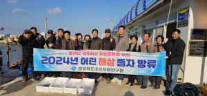 포항시 어업자율관리공동체 2개소,  오도2리 해상 어린 해삼 방류