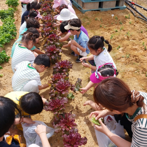 더 넓은 독서ㆍ문화 세계로…대구 도서관 평가 ‘5관왕’