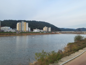 하천준설로 재해로부터 안전한 울진 조성