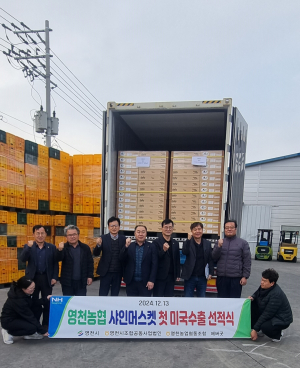 영천농협 샤인머스켓, 미국 LA 첫 수출길에 오른다