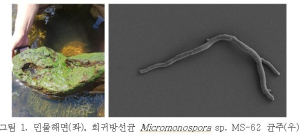 상주국립낙동강생물자원관, 항암ㆍ항염증 효과 신규물질 특허 출원