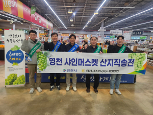 영천시·영천시조합공동사업법인, 영천포도 판촉행사 성료