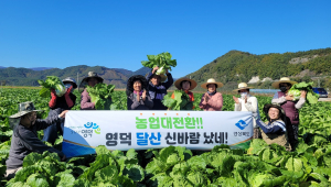 경북도, 영덕 달산마을 첫 배당금…3.3㎡당 3천원