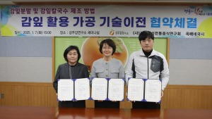 경북농기원, 감잎 활용 특화제품 개발 나서