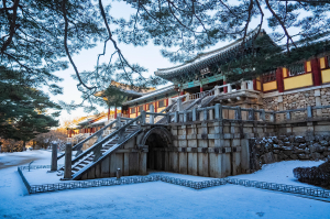 을사년 ‘경주의 트리플 경사’ 희망찬 한 해